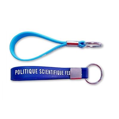 Pendenti 100% del silicone Keychain promozionale, accessori del metallo, colore di Pantone